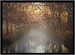 Drzewa, Park, Rzeka, Mgła, Jesień