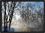 Drzewa, Rzeka, Mgła, Zima