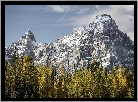 Kanada, Park Narodowy Banff, Szczyt Castle Mountain, Góry, Drzewa