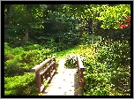 Park , Drzewa, Mostek