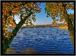 Pochylone, Drzewa, Jezioro