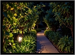 Ogród, Drzewa, Rośliny, Latarnie, Chodnik