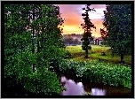 Rzeczka, Drzewa, Zieleń