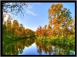 Rzeka, Drzewa, Jesień