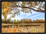 Rzeka, Drzewa, Jesień