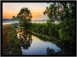 Rzeka, Drzewa, Mgła