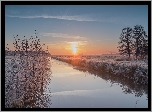 Rzeka, Drzewa, Szron, Zima, Pole, Wschód słońca
