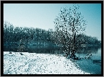 Rzeka, Drzewa, Zima