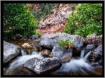 Skały, Cathedral Rock, Drzewa, Rzeka, Oak Creek, Głazy, Kamienie, Sedona, Arizona, Stany Zjednoczone