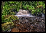 Anglia, Hrabstwo South Yorkshire, Sheffield, Park Narodowy Peak District, Kaskada, Rzeka Rivelin, Kamienie, Drzewa Park Narodowy Peak District