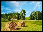 Łąka, Siano, Drzewa, Lato