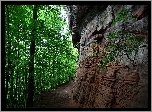 Skały, Drzewa, Ścieżka