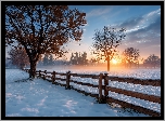 Zima, Ogrodzenie, Śnieg, Drzewa, Chmury, Zachód słońca