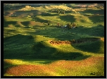 Drzewa, Domy, Pola, Steptoe Butte State Park, Region Palouse, Stan Waszyngton, Stany Zjednoczone