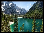Jezioro Pragser Wildsee, Góry Dolomity, Tyrol Południowy, Włochy, Drzewa