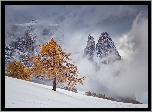 Zima, Drzewa, Mgła, Góry, Dolomity, Masyw Schlern, Włochy