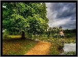 Drzewa, Park, Staw, Lilie Wodne, Ścieżka