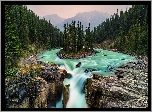 Wodospad Sunwapta, Rzeka Sunwapta, Las, Drzewa, Góry, Park Narodowy Jasper, Alberta, Kanada