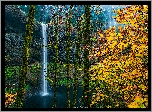 Wodospad South Falls, Las, Drzewa, Jesień, Skała, Park miejski Silver Falls, Oregon, Stany Zjednoczone