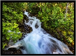 Wodospad Deception Falls, Skały, Las, Drzewa, Miejscowość Skykomish, Stan Waszyngton, Stany Zjednoczone