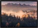 Polska, Czorsztyn, Zamek, Góry, Tatry, Mgła, Jesień, Drzewa