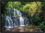 Wodospad, Purakaunui Falls, Skały, Rzeka, Las, Drzewa, Zielone, Rośliny, Nowa Zelandia