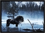 Koń, Drzewo, Jezioro