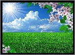Kwitnące, Drzewo, Słońce, Chmury, Zielone, Pole, Grafika