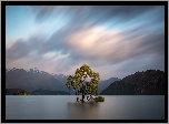 Drzewo, Góry, Jezioro Wanaka, Nowa Zelandia