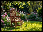 Ogród, Krzesło, Kwiaty, Drzewo