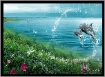 Dwa, Delfiny, Morze, Kwiatki