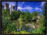 Stany Zjednoczone, Nowy Jork, Dzielnica Manhattan, Central Park, Staw, Most Gapstow, Drapacze chmur, Drzewa