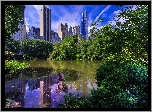 Stany Zjednoczone, Nowy Jork, Dzielnica Manhattan, Park miejski Central Park, Staw, Drapacze chmur, Drzewa