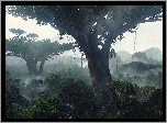 Dżungla, Mgła