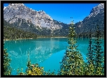 Góry, Jezioro, Emerald Lake, Świerki, Park Narodowy Yoho, Kolumbia Brytyjska, Kanada