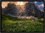 Góry Kantabryjskie, Masyw Picos de Europa, Polana, Kwiaty, Łąka, Dom, Asturia, Hiszpania