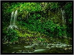 Wodospad Mossbrae Falls, Roślinność, Rzeka, Hrabstwo Siskiyou, Stan Kalifornia, Stany Zjednoczone