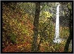 Stany Zjednoczone, Stan Oregon, Jesień, Las, Wodospad Elowah Falls