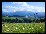 Tatry, Farmy, Pola