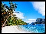 Filipiny, Plaża, Morze, Wybrzeże, Palma