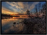 Rzeka Jerisjoki, Zachód słońca, Drzewa, Szuwary, Kamienie, Miejscowość Muonio, Finlandia