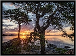 Jezioro, Lake Inari, Drzewa, Zachód słońca, Chmury, Laponia, Finlandia