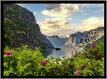 Norwegia, Fiord Aurlandsfjord, Wieś Flam, Statek, Góry, Kwiaty