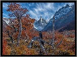 Argentyna, Patagonia, El Chalten, Góry, Mount Fitz Roy, Jesień, Drzewa, Konary
