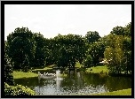 Fontanna, Staw, Mostek, Drzewa, Park