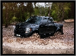 Ford, Raptor, Rzeka, Drzewa