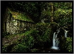 Francja, Gmina Laveissière, Młyn wodny Moulin de Chambeuil, Las, Roślinność, Strumyk