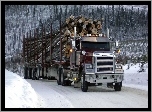 Freightliner, Zima, Droga, Drzewa