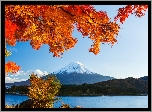Fudżi, Jezioro, Lasy, Drzewa, Japonia