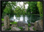 Polska, Gdańsk, Park Oliwski, Staw, Drzewa, Głazy, Zwisające, Gałęzie